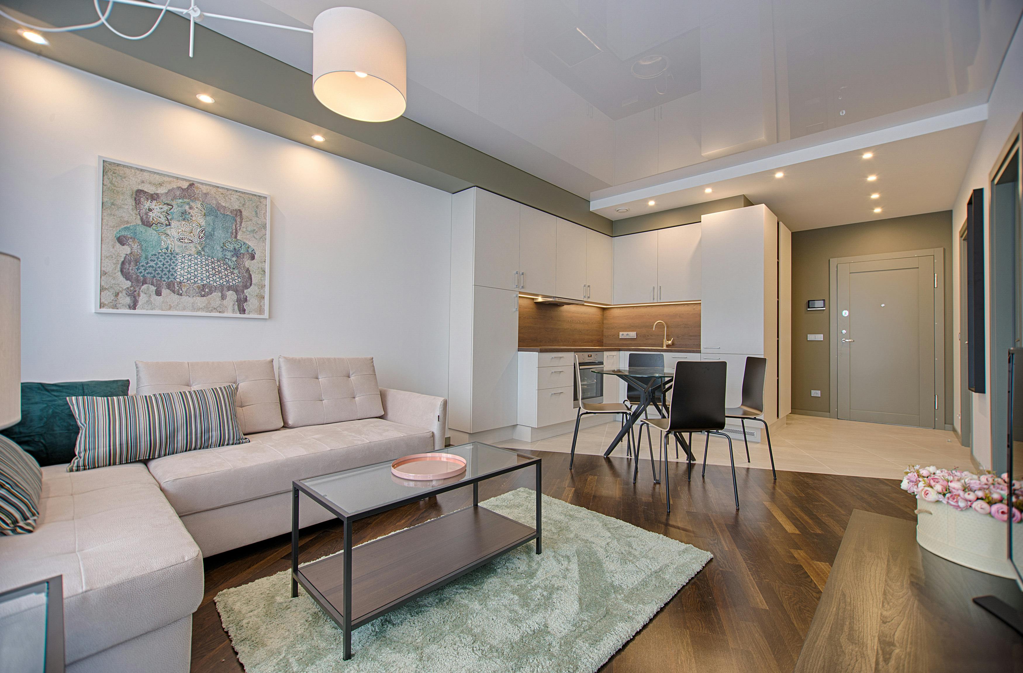 Minimalist Living Room